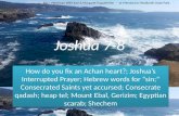 Joshua 7-8, Achan; Interrupted Prayer; Hebrew “sin;” Saints accursed; Consecrate qadash; heap tel; Mount Ebal, Gerizim; Egyptian scarab; Shechem