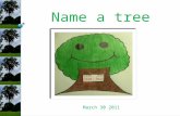 [Challenge:Future] Name a tree