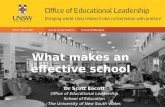 What makes an effective school?