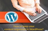 How to keep your content organized in WordPress?