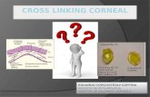 Cross linking corneal definitivo 16032016
