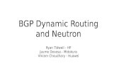 BGP Dynamic Routing and Neutron