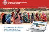 Webinar 2 on resilience: Resilience Index Measurement and Analysis II – RIMA II, what’s new?