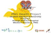 PNG Health Project