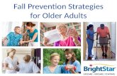 Fall Prevention Strategies for Older Adults