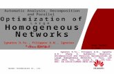 Homogeneous Network Optimization