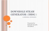 Downhole steam generator