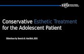 Conservative Esthetic Treatment for the Adolescent Patient