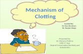 Mechanism of clotting