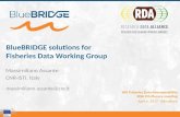 BlueBRIDGE solutions for Fisheries Data Working Group