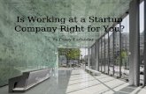 Is Working at a Startup Company Right For You?