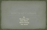 Abc's of culture