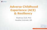 Agnesian HealthCare Know & Go Friday, April 2017: ACE & Resiliency
