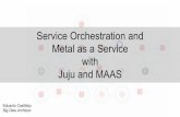 Service orchestration and metal as a service with juju and maas