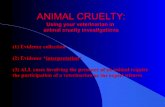 Using Your Veterinarian in Animal Cruelty Investigations