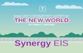 Synergy EIS