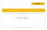 Reporte Anual de Operaciones 2015 | Emision de Boletos Electronicos para Transporte Aereo Nacional de Pasajeros