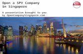 Open a SPV Company in Singapore