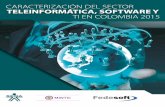 Caracterizacion del sector de teleinformatica software y ti en colombia ...