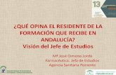 Congreso SAFH 2016. Mesa de residentes-Opinión de los residentes de la formación de FH en Andalucía