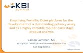 Employing ForteBio Octet platform for the development of a dual-binding potency assay