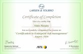 Certification in Enterprise risk management_20007434
