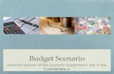 Budget scenario