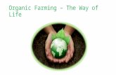 Organic farming – the way of life