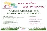 Un Pilar de Flores Verano en Pilar de la Horadada 2012