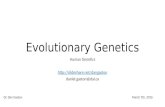 Human genetics   evolutionary genetics