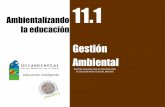 11.1 ambientalizando la educac