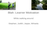 Bl.Ah 080730 Ah2008 Learner Motivation