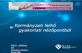 Gazdag Ferenc_IDC_KormanyzatiFelho
