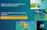 Impacto da adoção de tecnologias na agricultura brasileira