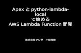 Apexとpython-lambda-local で始める AWS Lambda Function開発