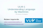 ULM-1 Understanding Languages by Machines: The borders of Ambiguity