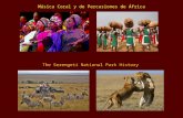 Africa - Música Coral y de Percusiones & The Serengeti - English & Spanish