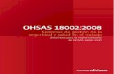 2. ohsas 18002 2008-español