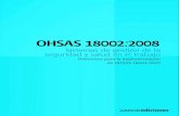 Ohsas 18002 2008 directrices para la implementacion ohsas 18001-2007