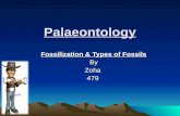 Palaeontology ppt.