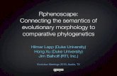 Rphenoscape: Connecting the semantics of evolutionary morphology to comparative phylogenetics