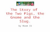 The Story Of The Two Pigs By Room 15