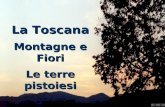Toscana, Montagne e fiori - De André, Via del Campo