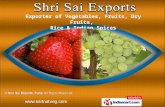 Dry Fruits by Shri Sai Exports Pune Pune