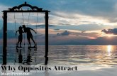 Marc Firestone: Why Opposites Attract