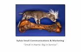 Sylvia Small Communications & Marketing Llc
