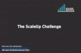 Strathclyde  University Scaleup  Lecture 19 april 2017