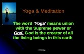 Yoga &;meditation