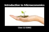 Introduction To Microeconomics - Class 12