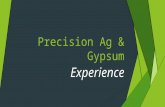 Gypsum and Precision Technology Experience